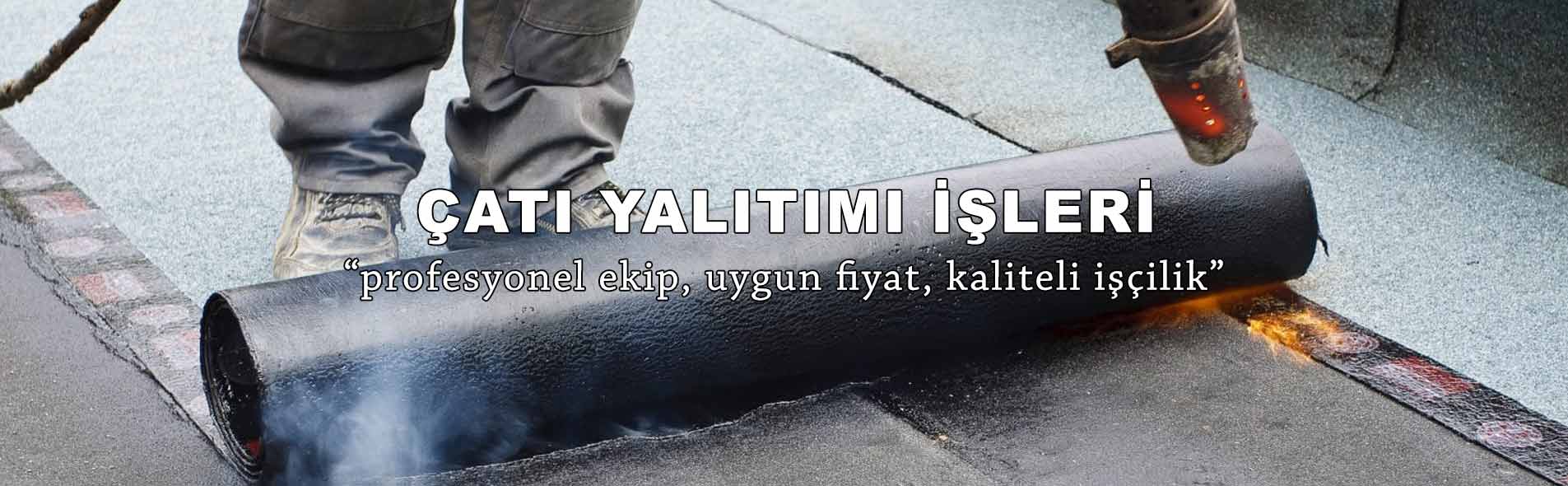 Bursa at leri